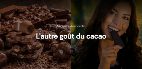 https://www.maison-du-chocolat.com